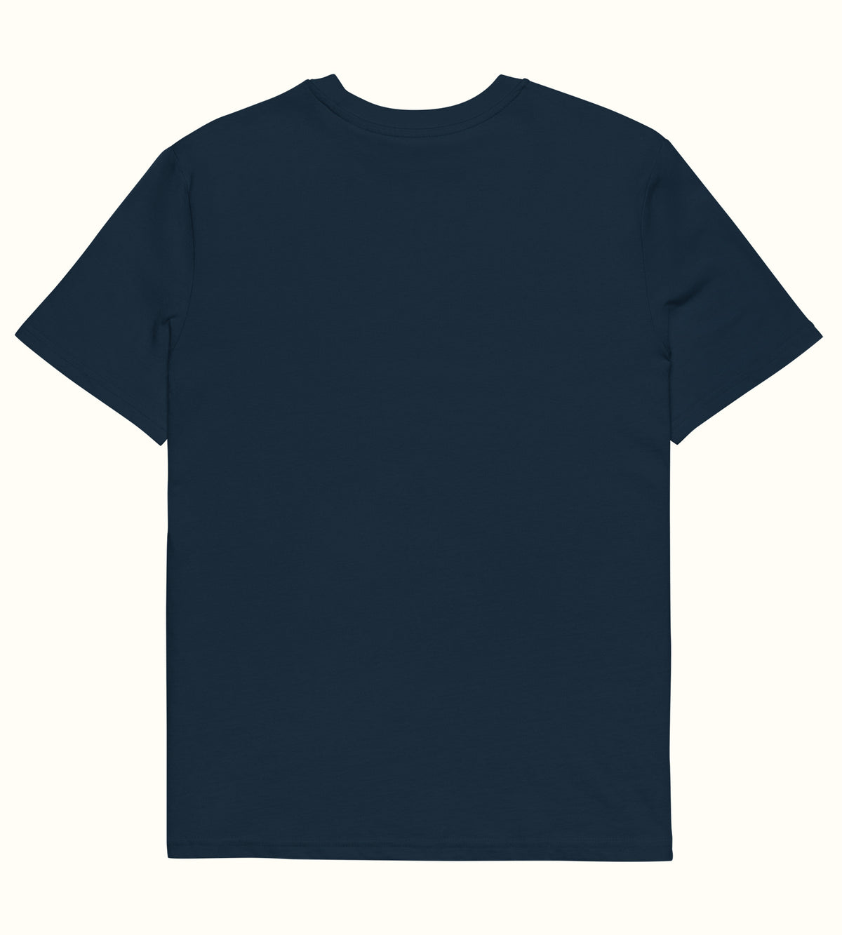 French Navy