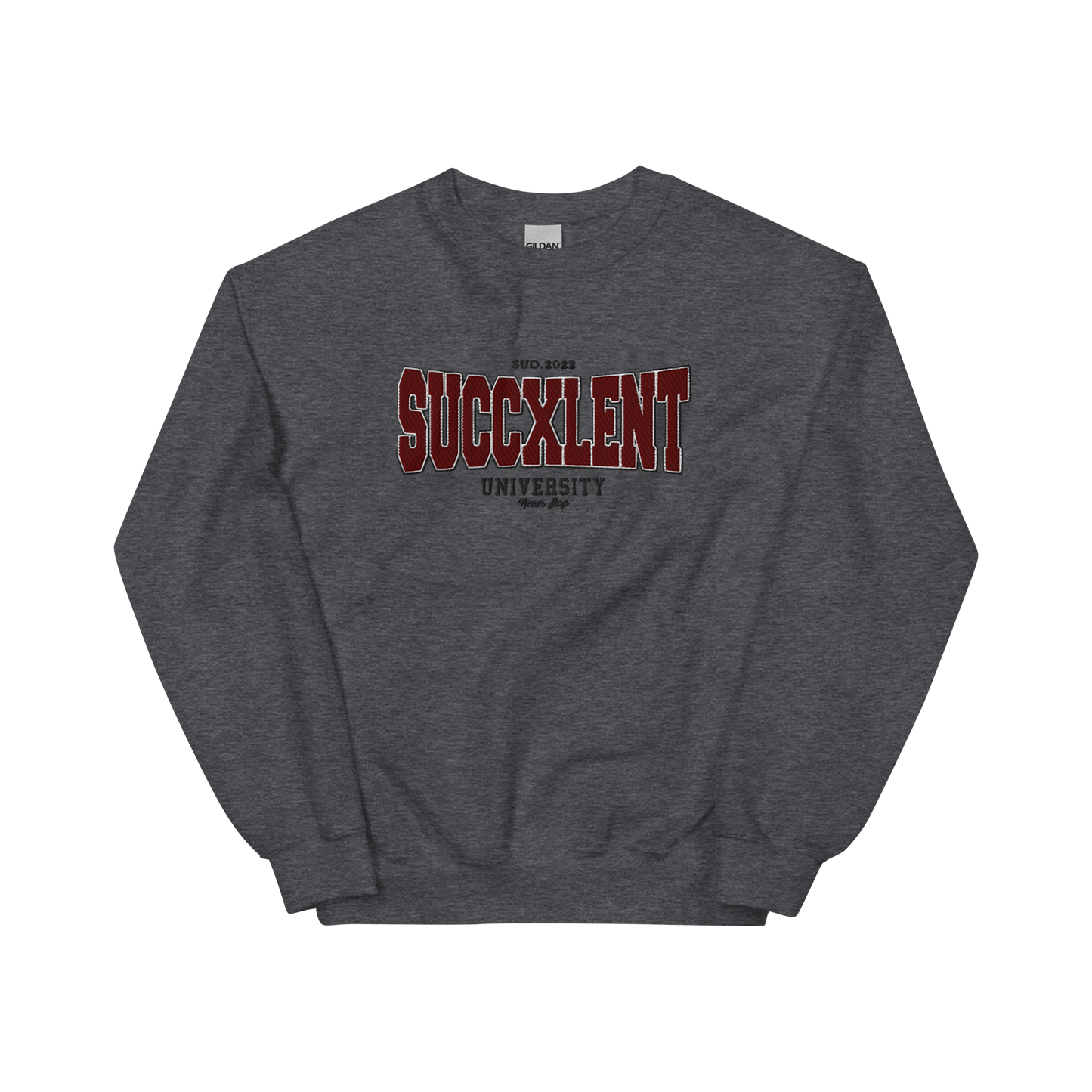 SUCCXLENT University sweat gris